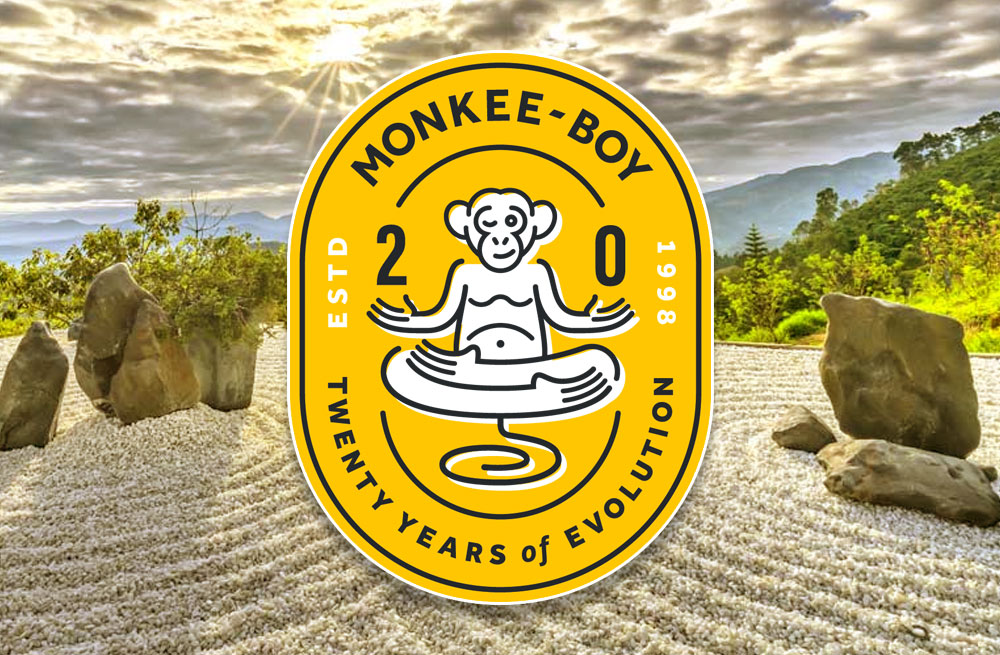 20th Anniversary of Monkee-Boy Web Design, Inc. in Austin Texas