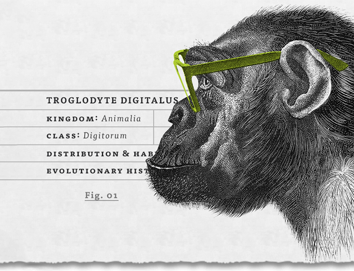 austin web design