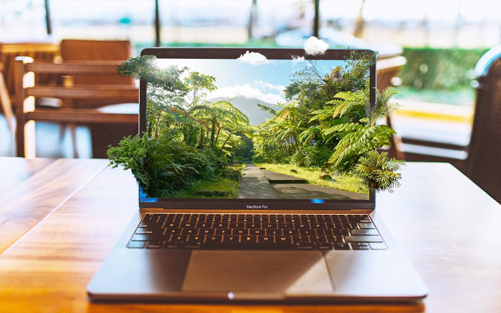 laptop on desk with jungle expanding out of the website screen