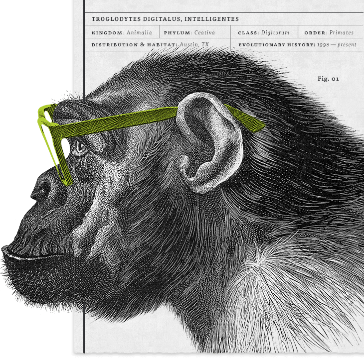 illustration of a monkey with green glasses looking to the left, in the background a torn page of scientific terms cleverly identifies the monkey as a new digital species of primate for web site design