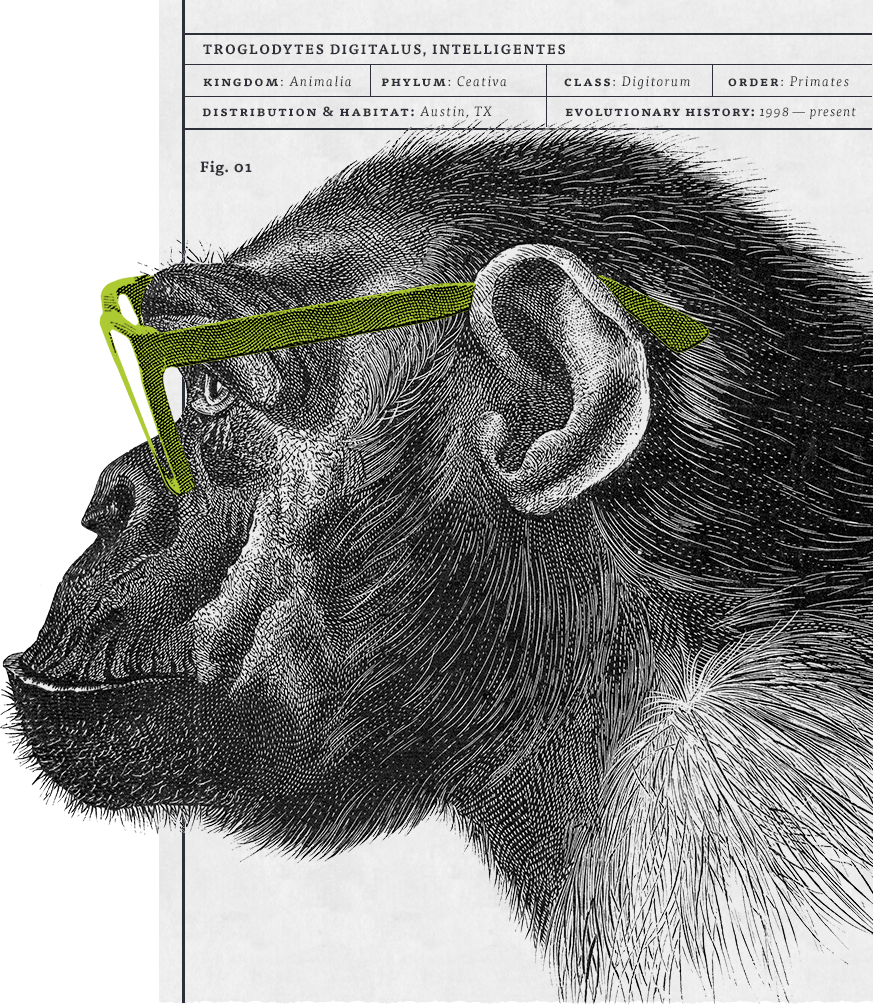 illustration of a monkey with green glasses looking to the left, in the background a torn page of scientific terms cleverly identifies the monkey as a new digital species of primate for web site design