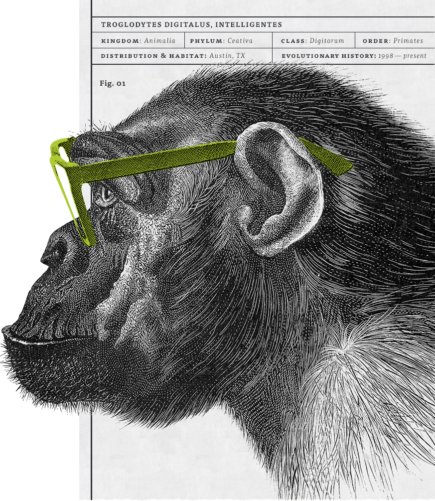 monkey in green glasses eager to help with web design, development, and WordPress accessibility