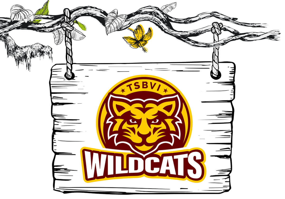 TSBVI Wildcat Logo