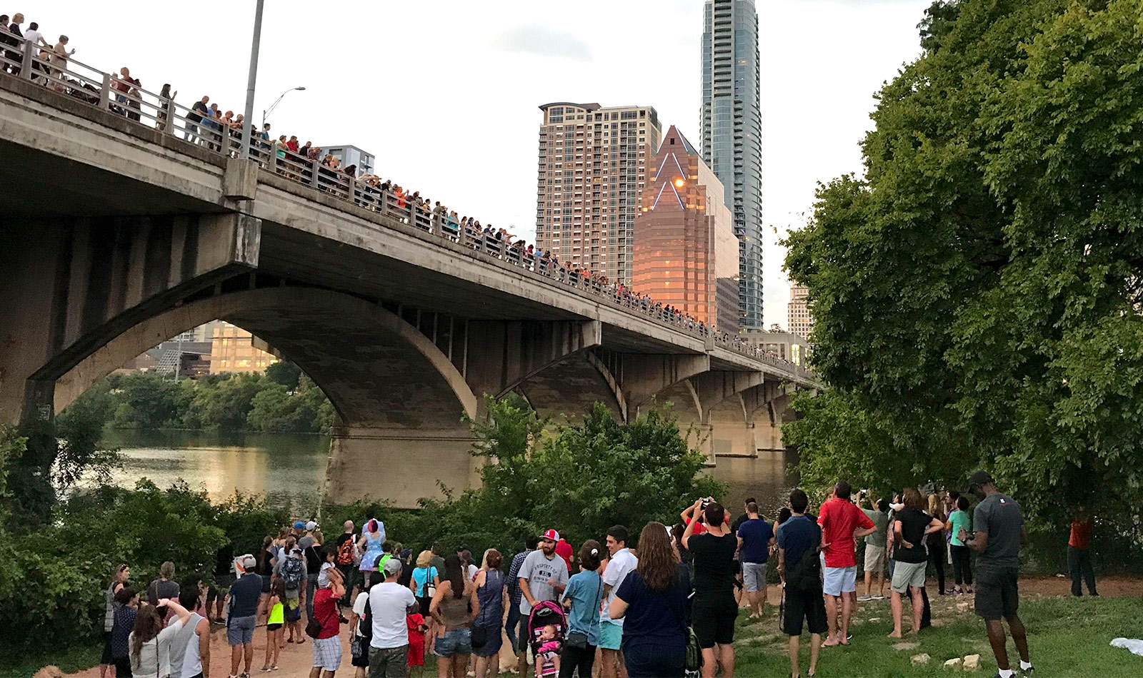 Brandon's front row seat at Austin's yearly bat festival.