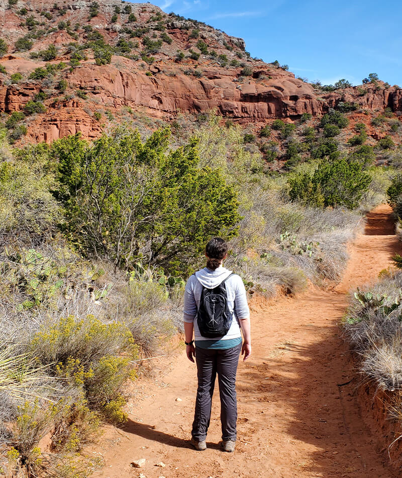 Back view of Joanne as she stares at canyons in the distance.