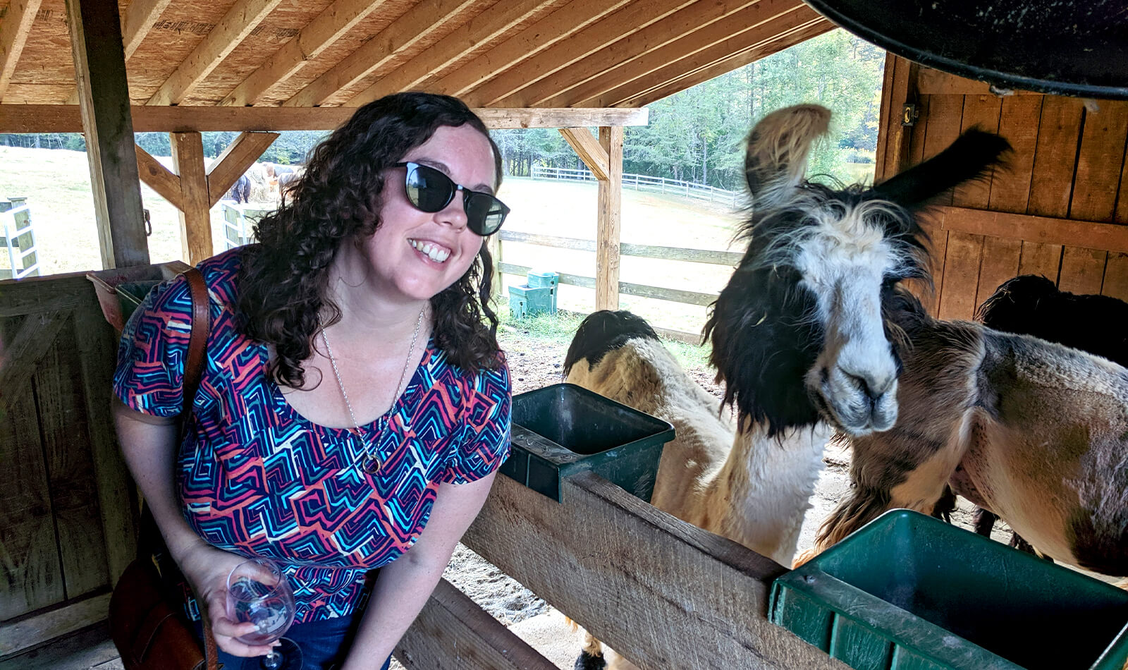 Front view of Joanne smiling with a llama in a barn.